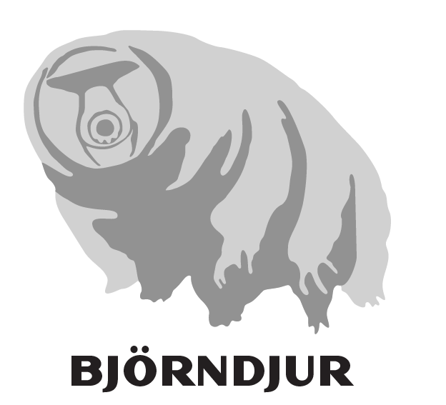 Björndjur